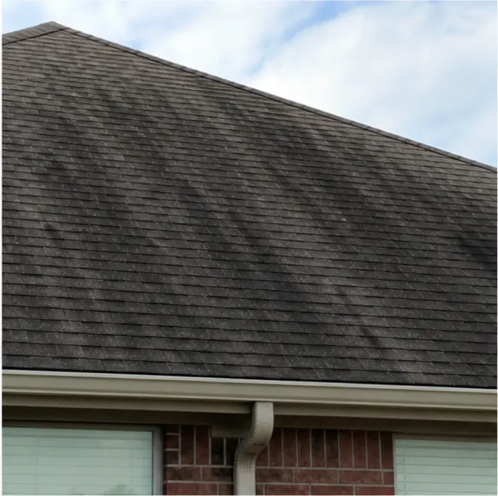 Asphalt shingle roof with dark streaking and staining visible from the ground.